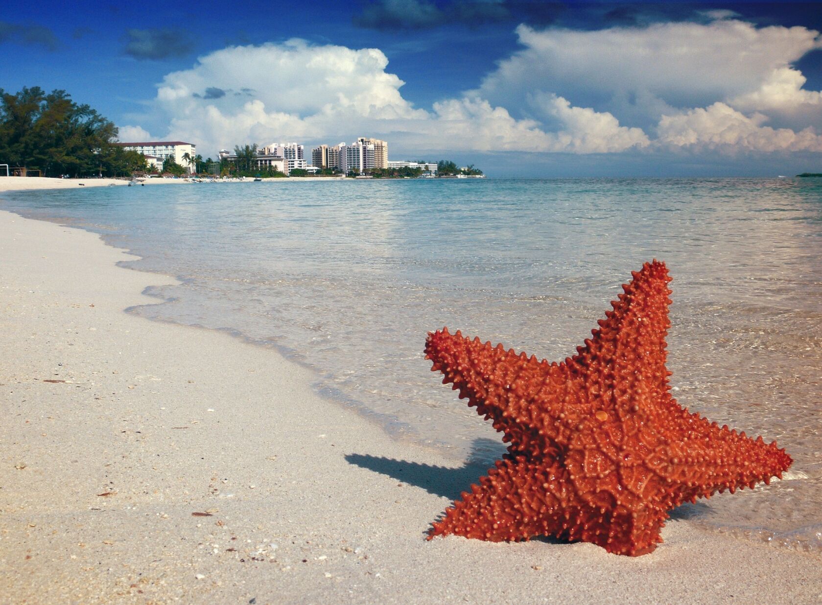 Caribbean and Bahamas